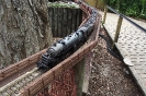 Train Garden - City Park - 4-28-2012 001