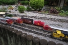 Train Garden - City Park - 4-28-2012 013